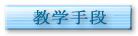 教学手段